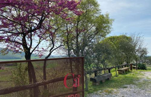 AZIENDA AGRICOLA CA' LUNGA - Foto 20