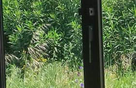 Nova Quinta Moderna TORRAMO em Oliveiras, Campo de Laranjas, na Nacional 2, Alentejo 13750 m2 - Foto 36