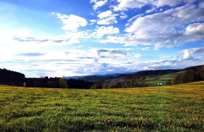 Alpine View Wellness Escape - Photo 34