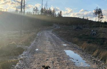 Apartamenty ARNIKA - Foto 66