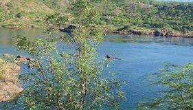 Chalé Velho Chico - Foto 5