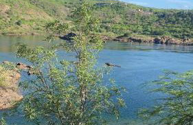 Chalé Velho Chico - Foto 5