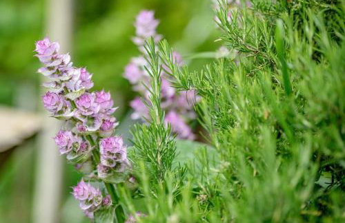 StellaLuca Resort - Foto 26