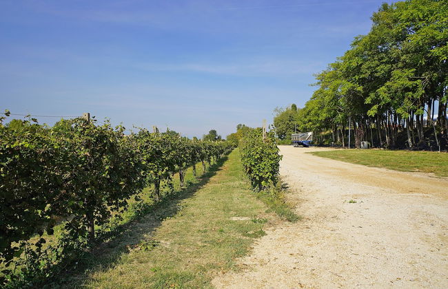 Agriturismo Corte Tonolli - Foto 52