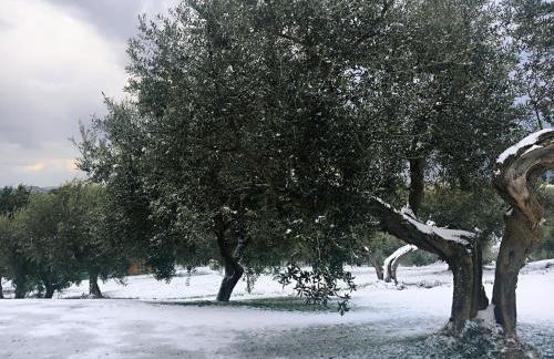 Villa di Carlone - Foto 21