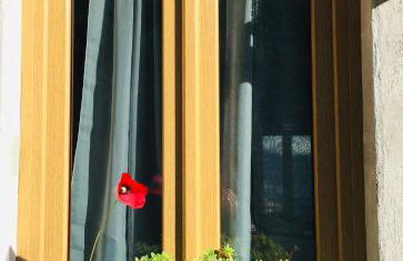 Ca Bossa Molina - Foto 10