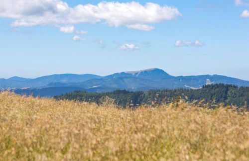 Haus Weitblick - Fewo Herzogenhorn - Bernau, Schwarzwald - Foto 20