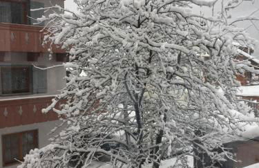 Ciasa David Marebbe - Photo 11