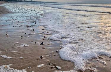 Salterns House - Coastal Escape near Sandbanks - Foto 41