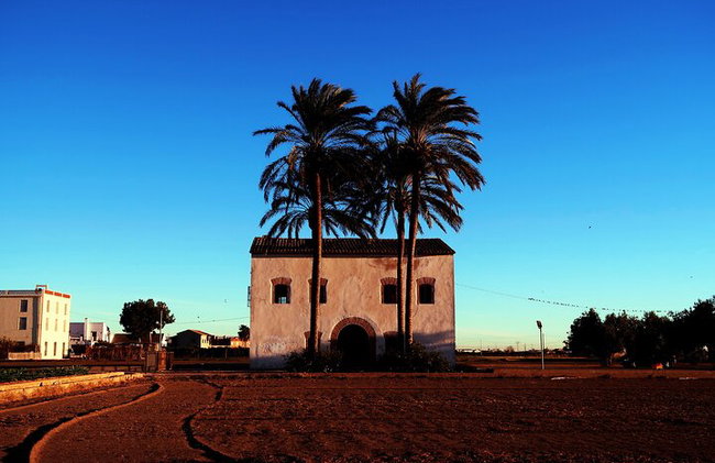 Paella tradicional Valenciana, cocinada con leña de naranjo. - Foto 14