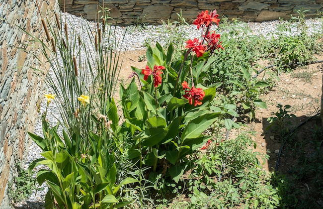 SkiNAmmos Eco Villas - Foto 80