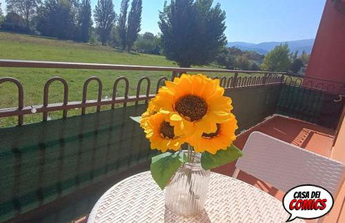 Casa dei Comics di Lucca - Foto 2