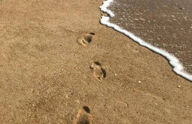 Villa Messanges (piscine & spa) - Photo 25