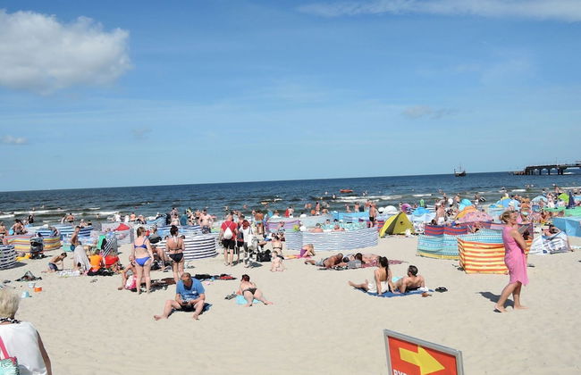 House Near Baltic Sea and Wolinski Park - Photo 21