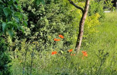 Fischer`s Postresidenzen Ettal - Foto 71