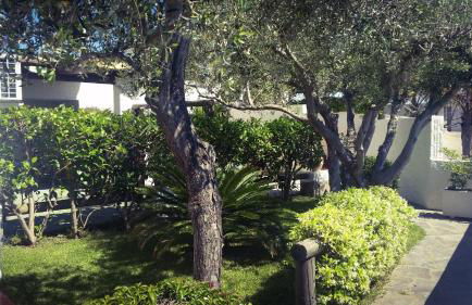 Appartamenti Luongo - Foto 67