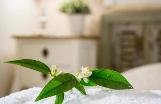 lianelia boutique village house - Foto 38