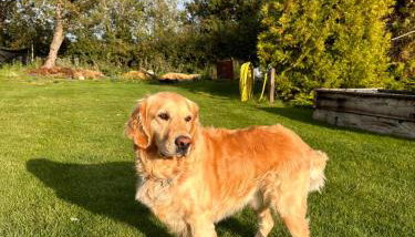 The Cottage get away - Photo 2