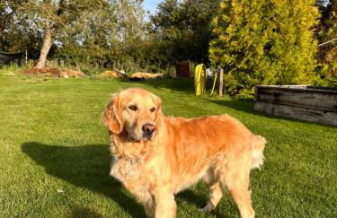 The Cottage get away - Foto 2