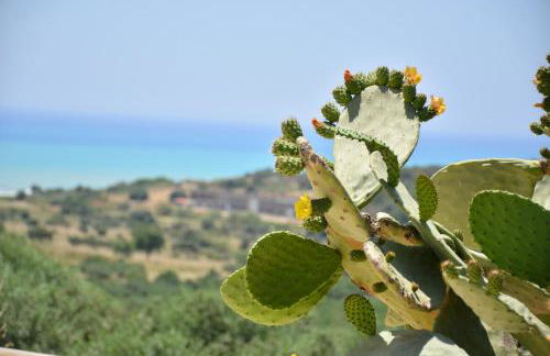 Tenuta Carabollace - Foto 16