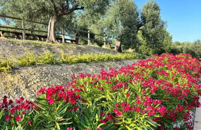 Agrirelais Collelago - Foto 56