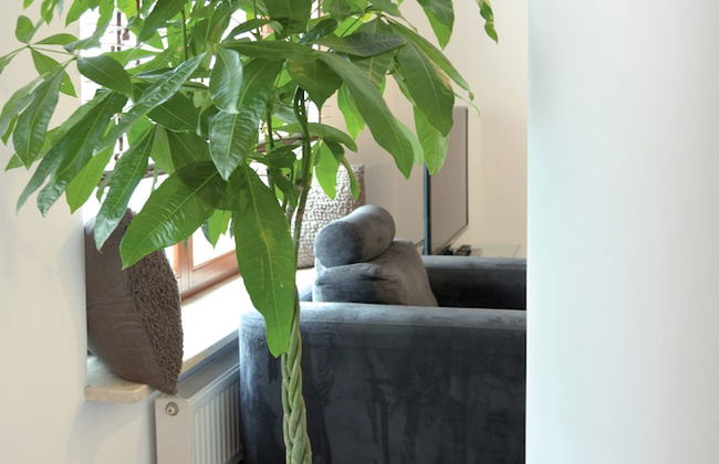 Szucha Apartments - Photo 80