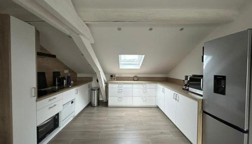 Appartement cosy et lumineux à Nancy - Foto 5