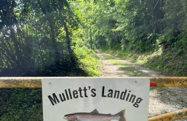 White River Landing - Foto 33