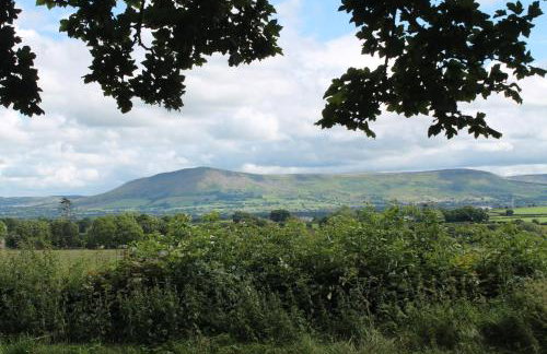 Ballyhargan Farm House - Foto 35