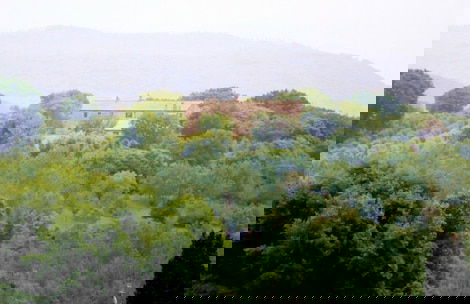 Podere Agrituristico Luchiano - Foto 50