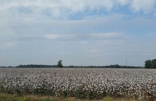 Sunflower Cottage on the River - Foto 13