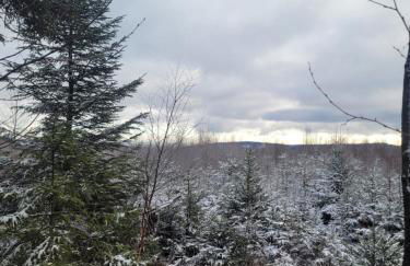 Hunsrücker Tiny Ferien R - Foto 38