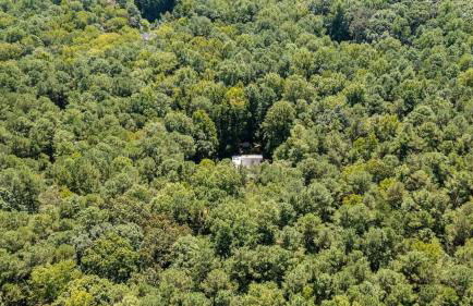 Quiet Retreat - Piano Firepit Peloton - 30 min to RTP - Photo 33