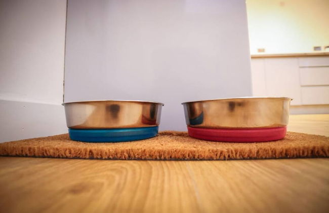 Clifftop Cottage - A Seaside Sanctuary - Foto 28