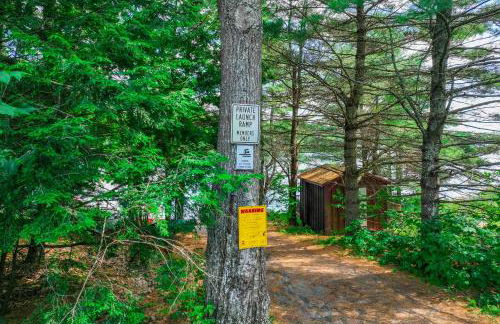 Falling Pines - Foto 7