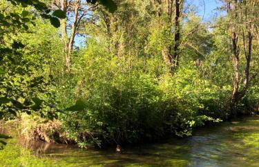 Au coeur de notre ferme céréalière - Foto 10