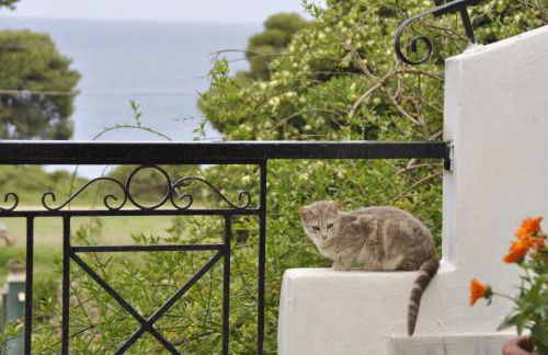 Heracles Guesthouse - Photo 35