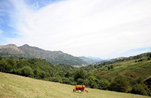 Vivienda Vacacional Supereda - Foto 19