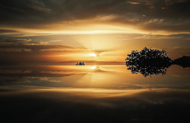 Olive Villas - Foto 65