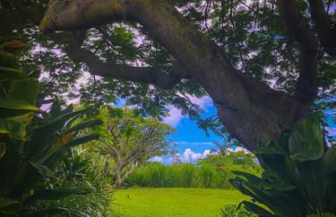 Gingerhill Farm Retreat - Foto 36