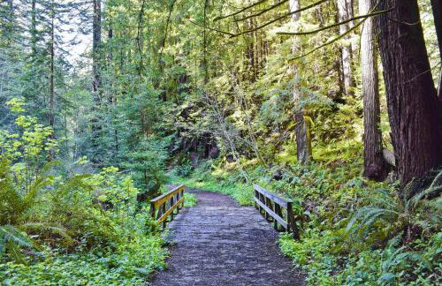 1 block to beach, Private Hot Tub, Fire Pit and BBQ - Foto 41