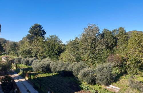 San Rocco Appartamenti 2 - Appartamento IL CASTAGNO - Foto 18