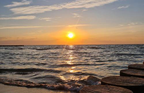 Czarna Perła - Foto 19