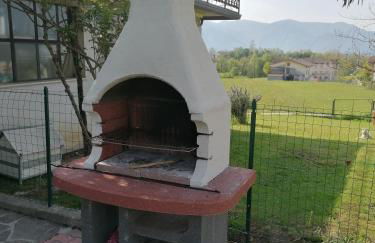 Colori nel parco - Foto 35