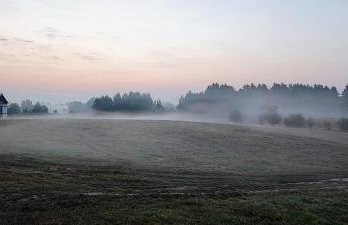 Siedlisko na łące - Foto 14