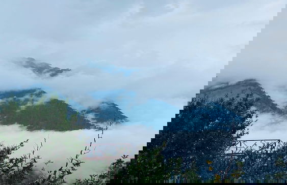 Cove The Glass House - Foto 62