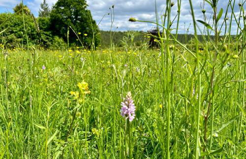 The Old Workshop, Wadhurst - Foto 59
