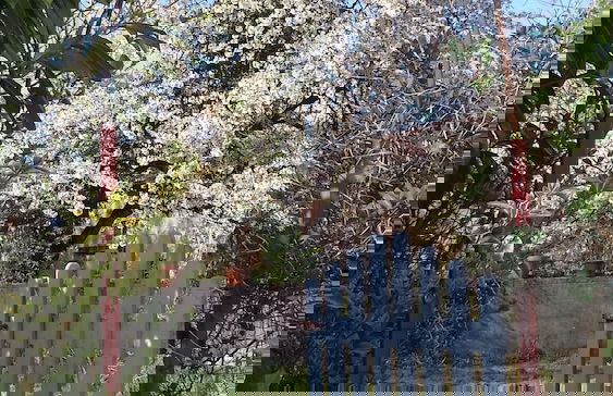 Gite Slow life house - Photo 26