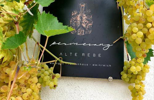 Zur alten Rebe Ferienhaus und Weingut - Foto 10