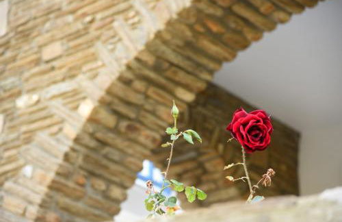 Andros Guesthouses - Foto 13